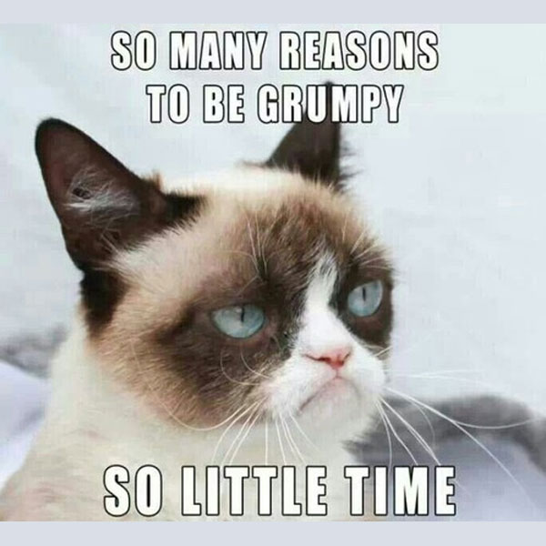 grumpy-cat-meme-00